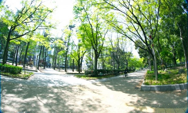 従業員の休憩時間にもピッタリ!ゆったりできる公園人気ランキング